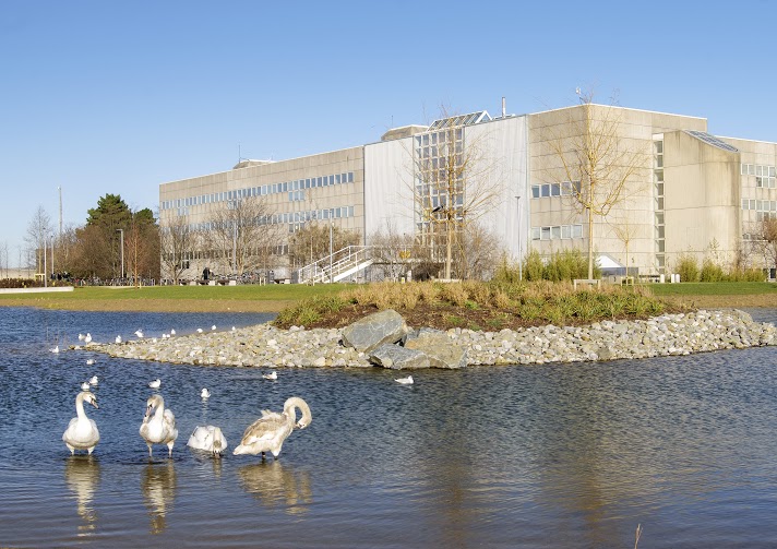 UCD Campus