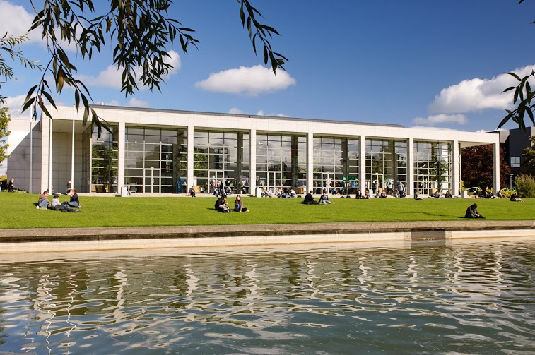 UCD