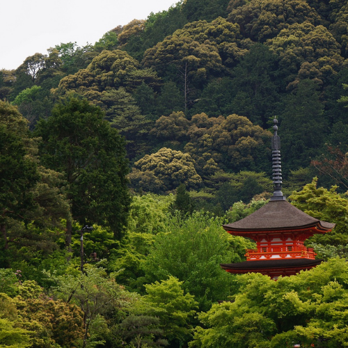 Kyoto