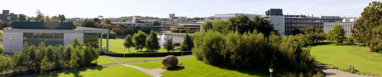 UCD